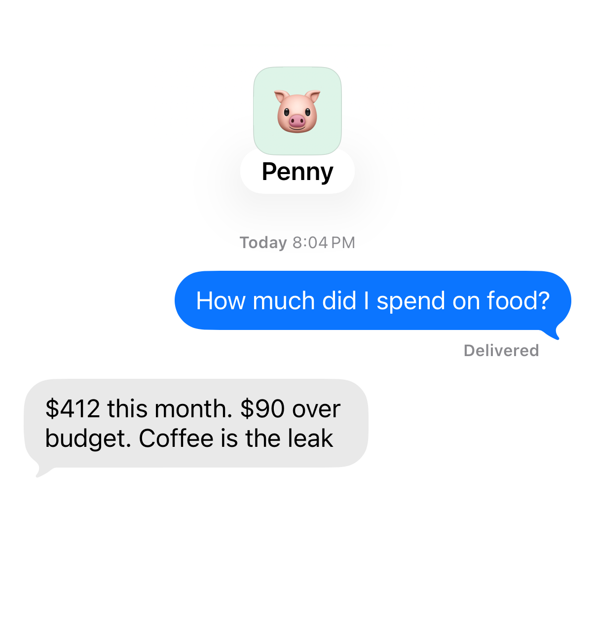 A chat with Penny, a finance agent